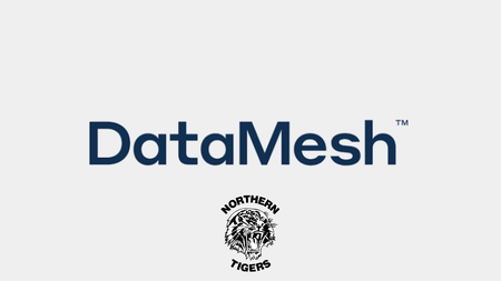 Data Mesh